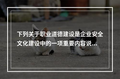 下列关于职业道德建设是企业安全文化建设中的一项重要内容说法正