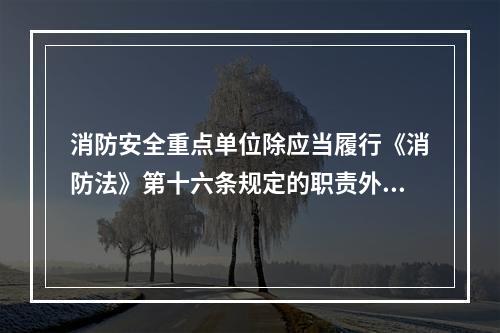 消防安全重点单位除应当履行《消防法》第十六条规定的职责外，还