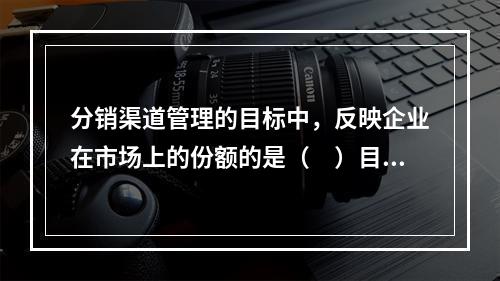 分销渠道管理的目标中，反映企业在市场上的份额的是（　）目标