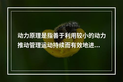 动力原理是指善于利用较小的动力推动管理运动持续而有效地进行下