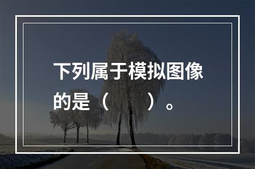 下列属于模拟图像的是（　　）。