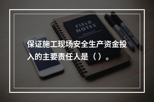 保证施工现场安全生产资金投入的主要责任人是（ ）。