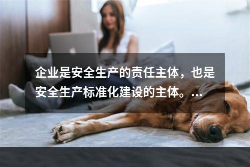 企业是安全生产的责任主体，也是安全生产标准化建设的主体。（）