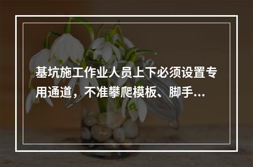 基坑施工作业人员上下必须设置专用通道，不准攀爬模板、脚手架，