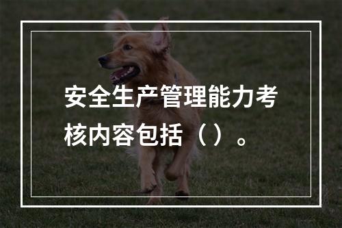 安全生产管理能力考核内容包括（ ）。