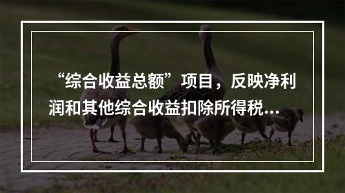 “综合收益总额”项目，反映净利润和其他综合收益扣除所得税影响