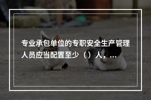 专业承包单位的专职安全生产管理人员应当配置至少（ ）人，并根