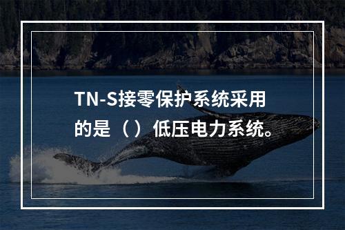 TN-S接零保护系统采用的是（ ）低压电力系统。