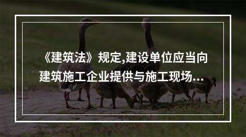 《建筑法》规定,建设单位应当向建筑施工企业提供与施工现场相关