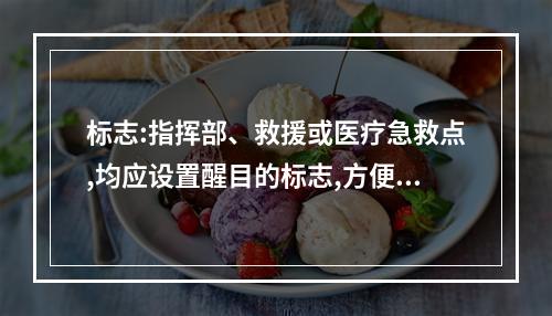 标志:指挥部、救援或医疗急救点,均应设置醒目的标志,方便救援