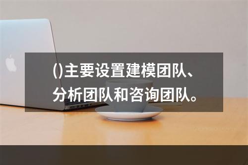 ()主要设置建模团队、分析团队和咨询团队。