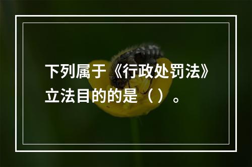 下列属于《行政处罚法》立法目的的是（ ）。