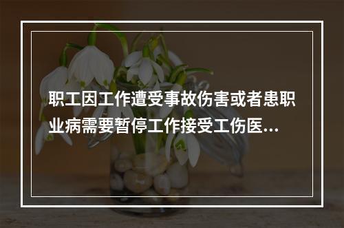 职工因工作遭受事故伤害或者患职业病需要暂停工作接受工伤医疗的