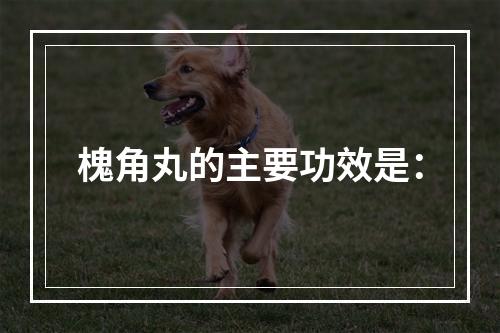 槐角丸的主要功效是：