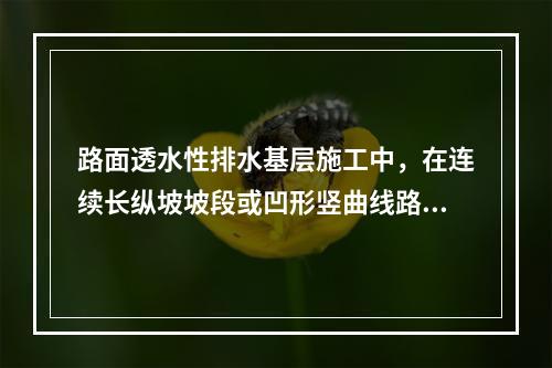 路面透水性排水基层施工中，在连续长纵坡坡段或凹形竖曲线路段