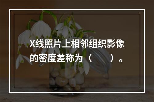 X线照片上相邻组织影像的密度差称为（　　）。