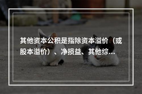 其他资本公积是指除资本溢价（或股本溢价）、净损益、其他综合收