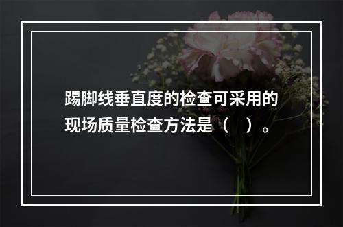 踢脚线垂直度的检查可采用的现场质量检查方法是（　）。