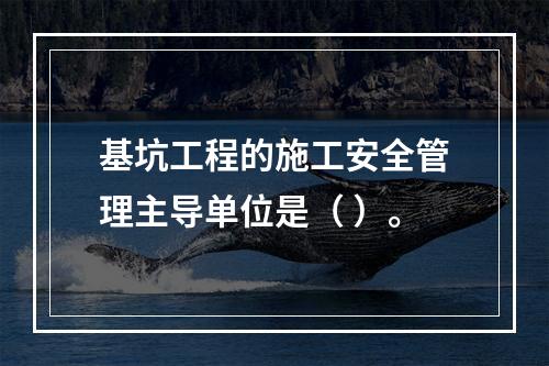 基坑工程的施工安全管理主导单位是（ ）。