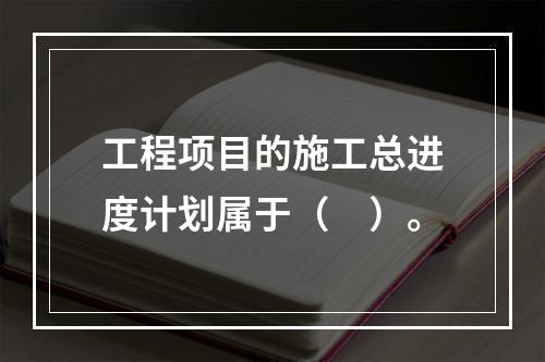 工程项目的施工总进度计划属于（　）。