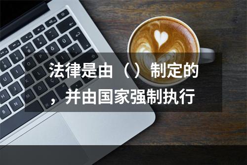 法律是由（ ）制定的，并由国家强制执行