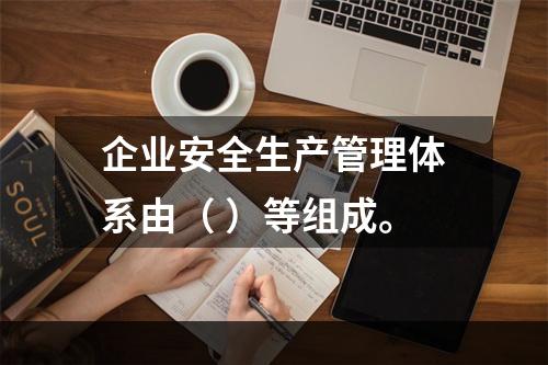 企业安全生产管理体系由（ ）等组成。