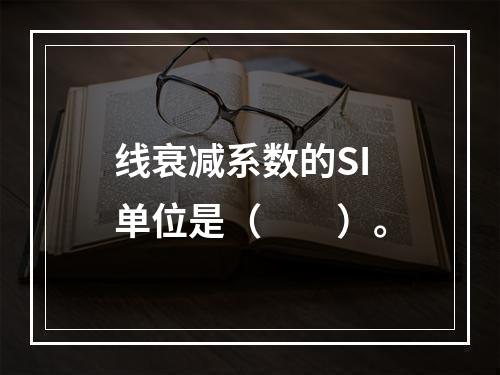 线衰减系数的SI单位是（　　）。