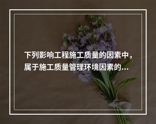 下列影响工程施工质量的因素中，属于施工质量管理环境因素的是（