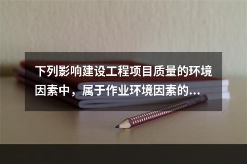 下列影响建设工程项目质量的环境因素中，属于作业环境因素的有（