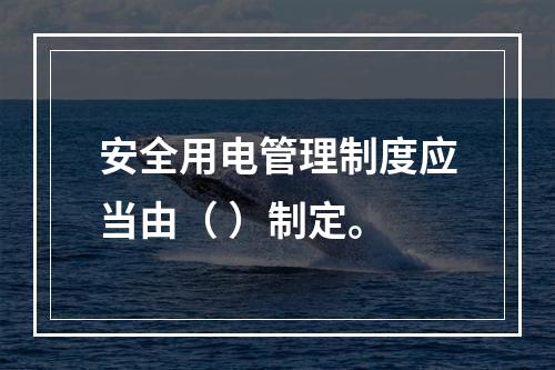 安全用电管理制度应当由（ ）制定。