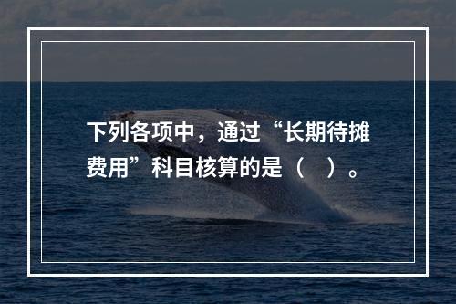 下列各项中，通过“长期待摊费用”科目核算的是（　）。