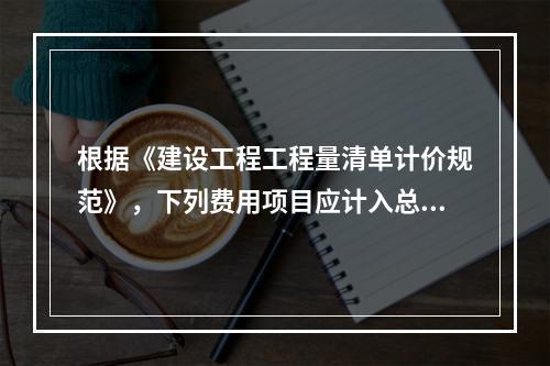 根据《建设工程工程量清单计价规范》，下列费用项目应计入总承包