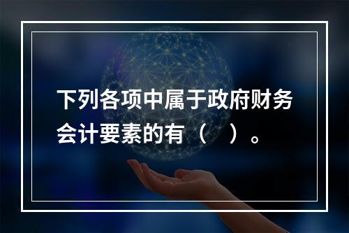 下列各项中属于政府财务会计要素的有（　）。