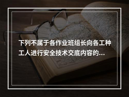 下列不属于各作业班组长向各工种工人进行安全技术交底内容的是（