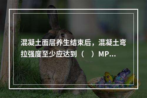 混凝土面层养生结束后，混凝土弯拉强度至少应达到（　）MPa。