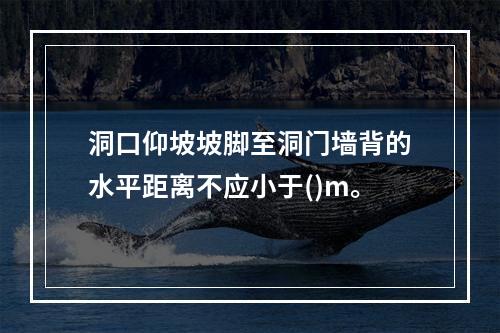 洞口仰坡坡脚至洞门墙背的水平距离不应小于()m。