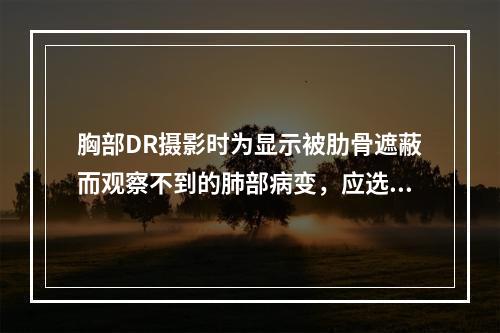 胸部DR摄影时为显示被肋骨遮蔽而观察不到的肺部病变，应选用的