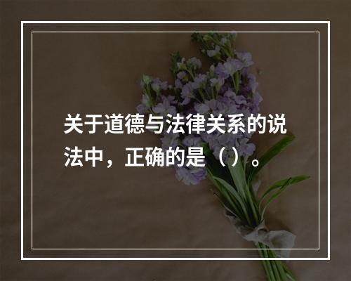 关于道德与法律关系的说法中，正确的是（ ）。