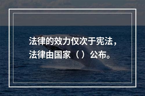 法律的效力仅次于宪法，法律由国家（ ）公布。