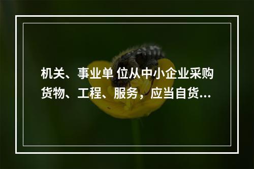 机关、事业单 位从中小企业采购货物、工程、服务，应当自货物、