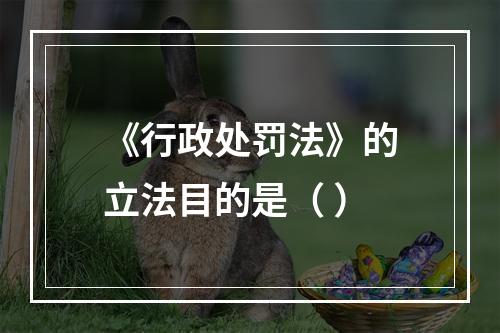 《行政处罚法》的立法目的是（ ）