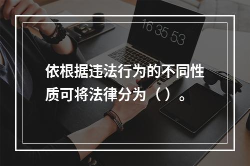 依根据违法行为的不同性质可将法律分为（ ）。