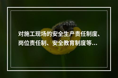 对施工现场的安全生产责任制度、岗位责任制、安全教育制度等得落