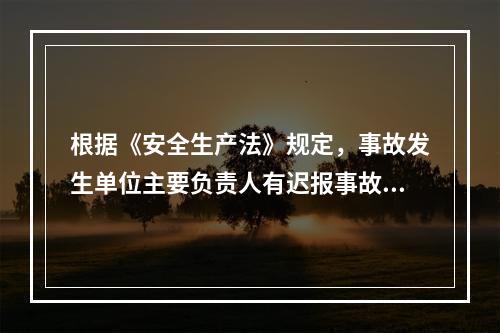 根据《安全生产法》规定，事故发生单位主要负责人有迟报事故行为