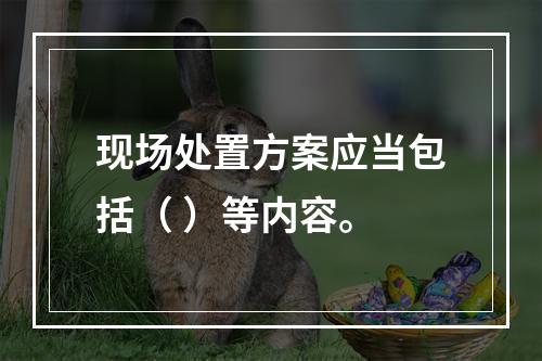 现场处置方案应当包括（ ）等内容。