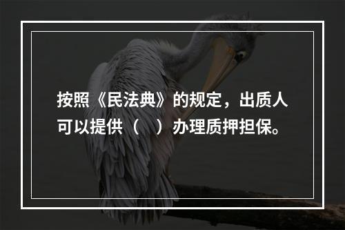 按照《民法典》的规定，出质人可以提供（　）办理质押担保。