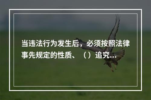 当违法行为发生后，必须按照法律事先规定的性质、（ ）追究违法