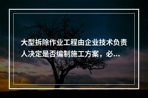 大型拆除作业工程由企业技术负责人决定是否编制施工方案，必要情