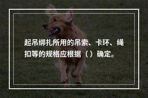 起吊绑扎所用的吊索、卡环、绳扣等的规格应根据（ ）确定。