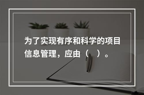 为了实现有序和科学的项目信息管理，应由（　）。